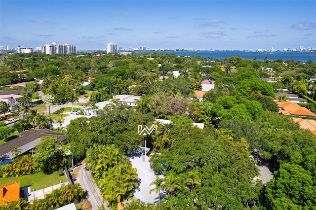 bird's eye view with a city view