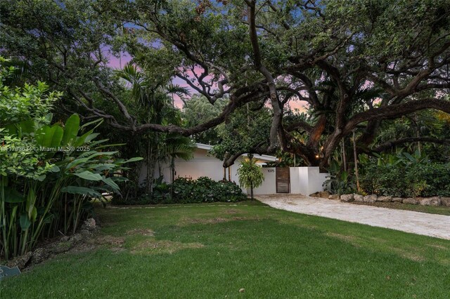 1075 NE 99th St, Miami Shores, FL 33138 - view of green lawn featuring driveway