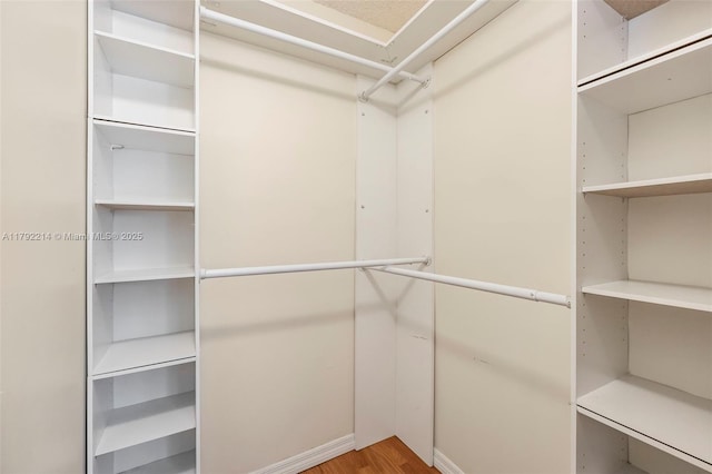 10761 SW 113th Pl Unit 102D, Miami, FL 33176 - walk in closet featuring wood finished floors