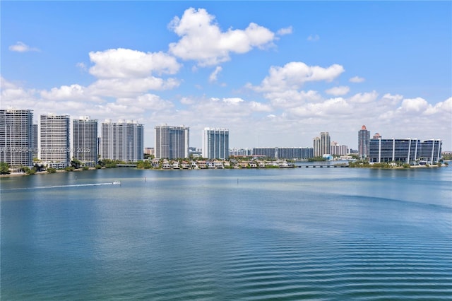 view of water feature featuring a city view