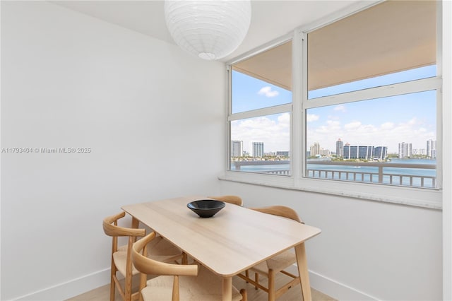 dining room featuring baseboards, a view of city, and wood finished floors