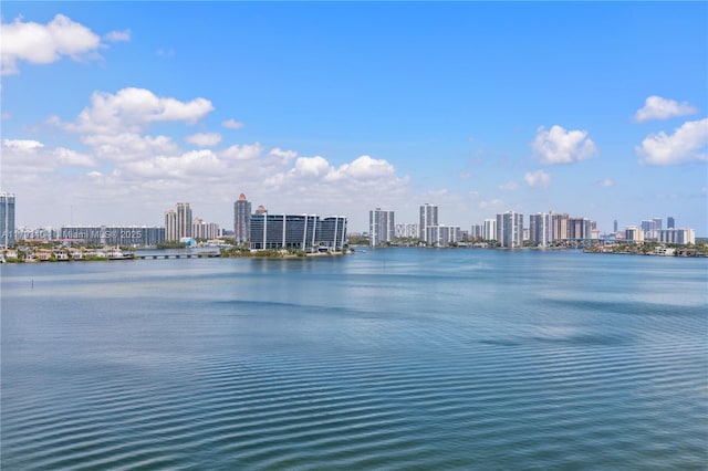 property view of water featuring a city view