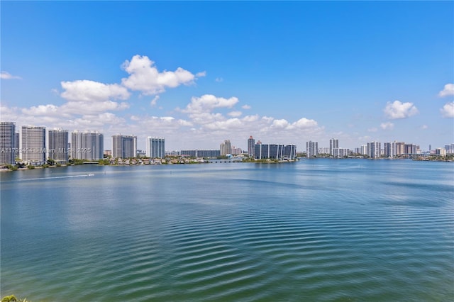 view of water feature featuring a city view