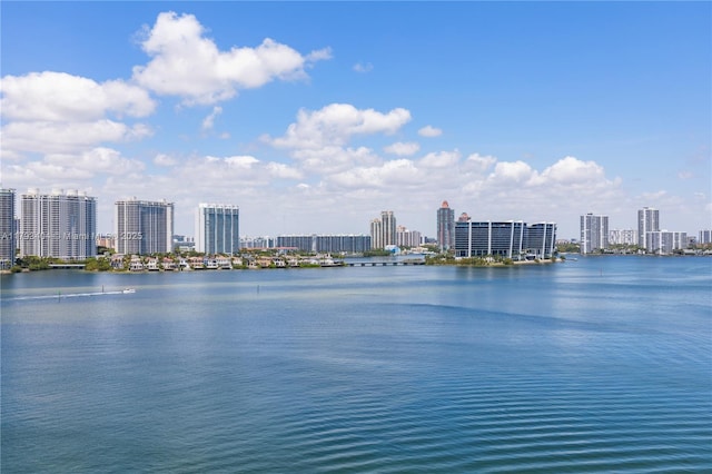 view of water feature with a view of city