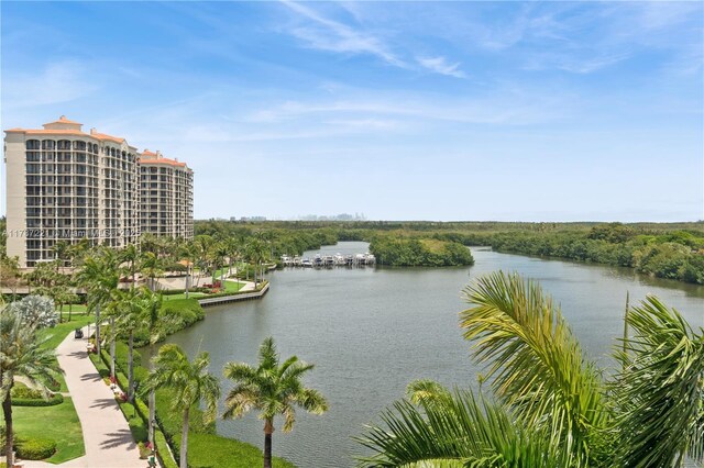 13645 Deering Bay Dr Ph 164, Coral Gables, FL 33158 - water view
