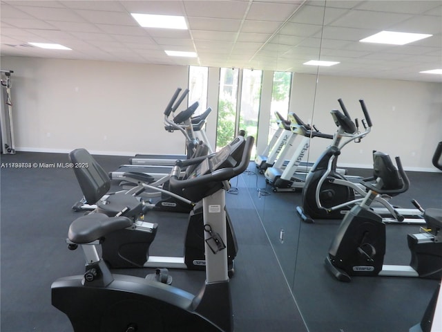 8005 SW 107th Ave Unit 118, Miami, FL 33173 - exercise room featuring baseboards, floor to ceiling windows, and a paneled ceiling