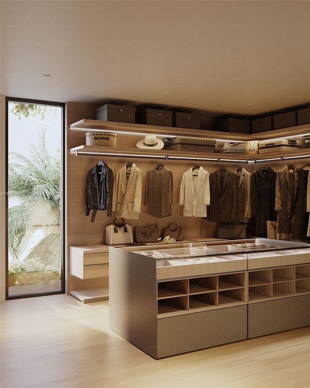 view of closet