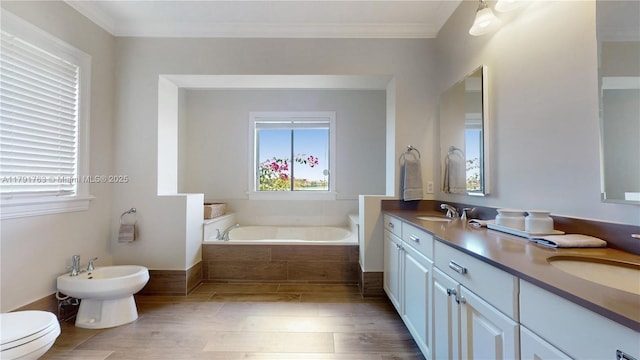 bathroom with plenty of natural light, a sink, a bidet, and a bath
