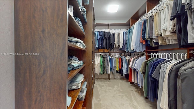 spacious closet with carpet