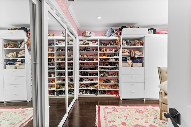 spacious closet with wood finished floors