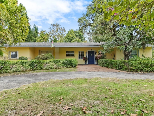 ranch-style home with a front yard and stucco siding