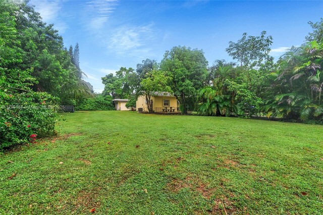 view of yard