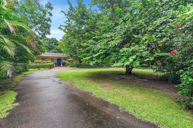 view of yard featuring aphalt driveway
