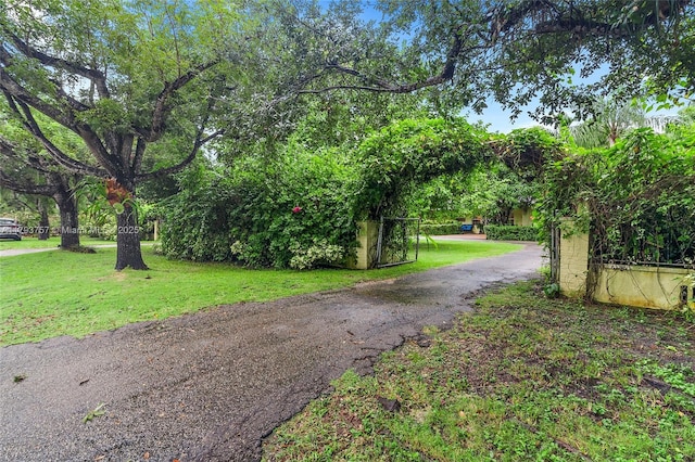 13101 SW 82nd Ave, Pinecrest, FL 33156 - view of asphalt driveway