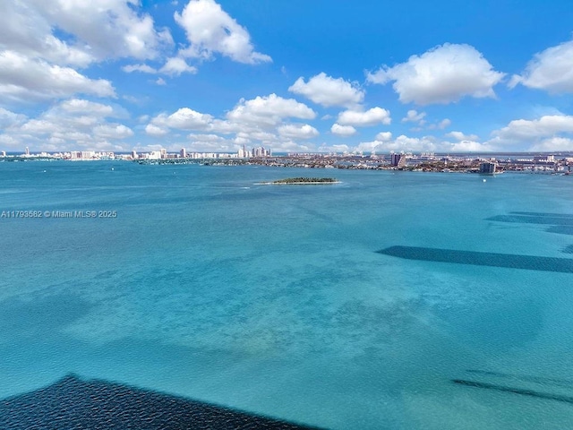 650 NE 32nd St Unit 1004, Miami, FL 33137 - property view of water with a city view