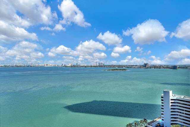 650 NE 32nd St Unit 1004, Miami, FL 33137 - water view with a view of city