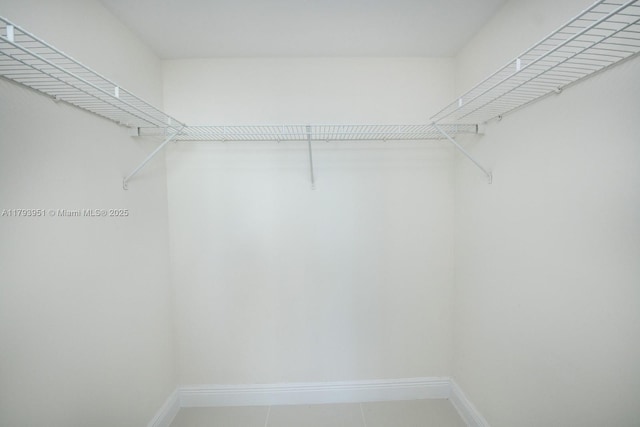 1861 NW S River Dr Unit 1903, Miami, FL 33125 - view of walk in closet