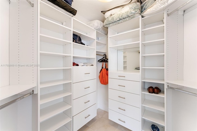 view of spacious closet