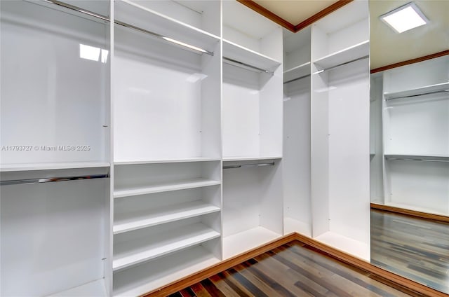 spacious closet featuring dark wood-type flooring