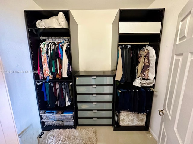 view of closet