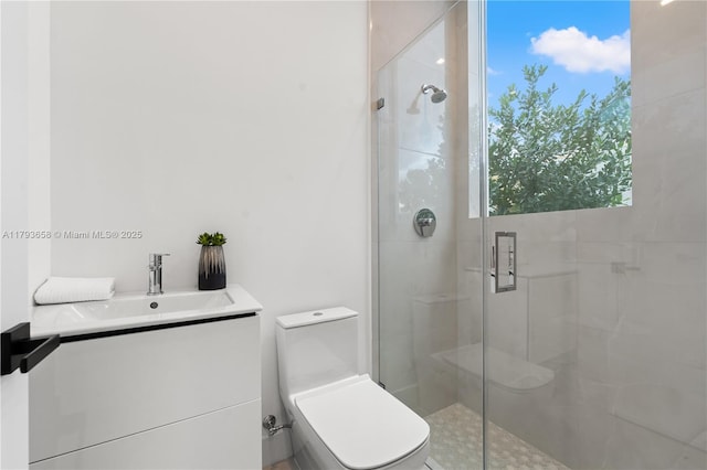 bathroom featuring vanity, a stall shower, and toilet
