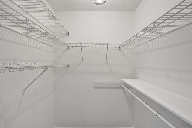 view of walk in closet