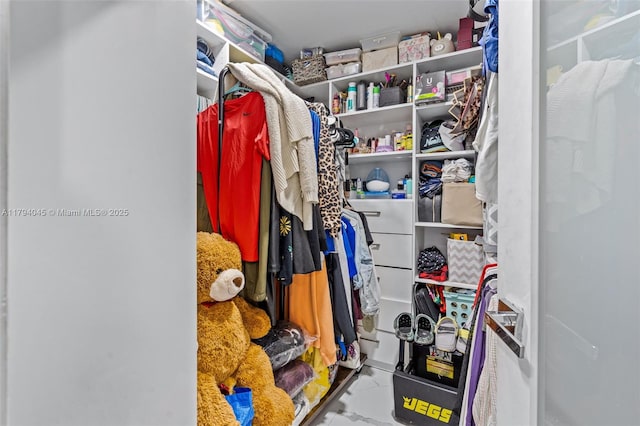 view of walk in closet