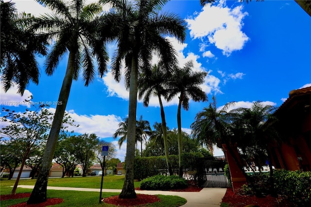 1583 Presidio Dr, Weston, FL 33327 - surrounding community with a yard