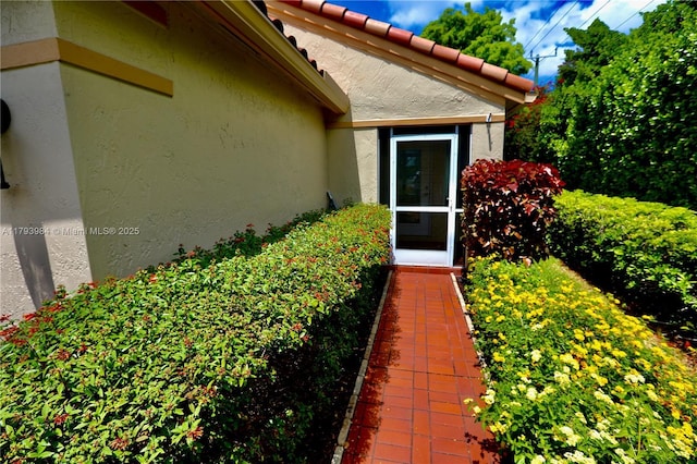 1583 Presidio Dr, Weston, FL 33327 - entrance to property featuring stucco siding
