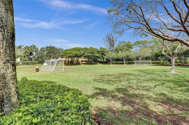 7643 Corkwood Ave, Boynton Beach, FL 33437 - view of yard with an area for soccer