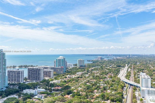 60 SW 13th St Unit 4205, Miami, FL 33130 - photo 17
