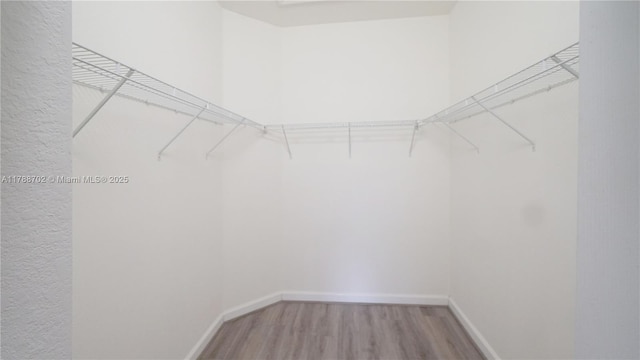 walk in closet featuring wood finished floors