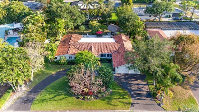 bird's eye view