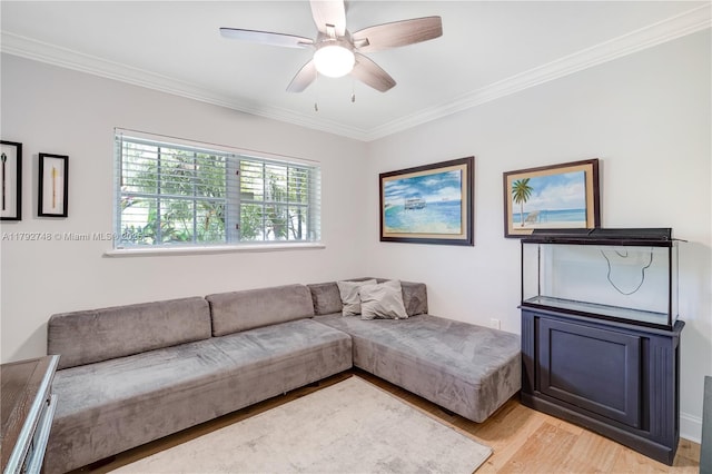 living room featuring crown molding, light wood-style flooring, ceiling fan, and baseboards