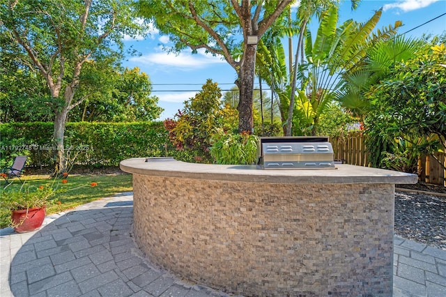 view of patio / terrace featuring a fenced backyard and exterior kitchen