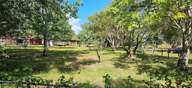 3100-3112 Sanders Rd, Davenport, FL 33837 - view of yard