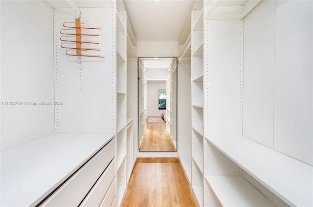 spacious closet with light wood-style flooring