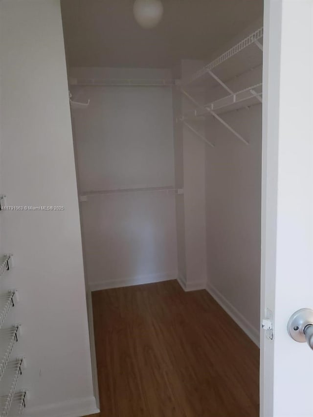 spacious closet with wood finished floors