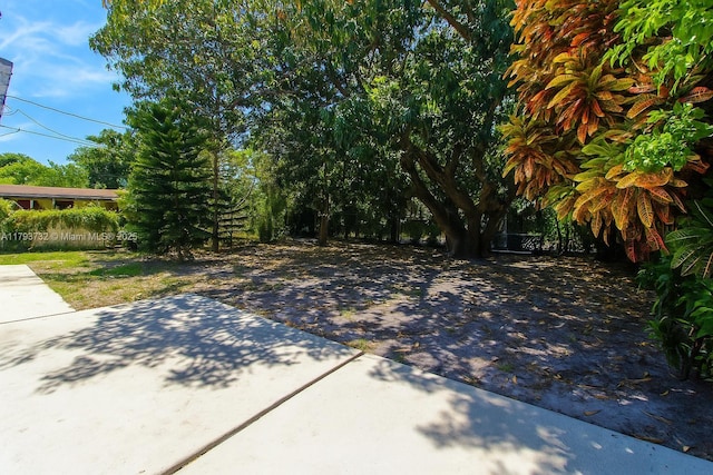 view of yard with a patio area