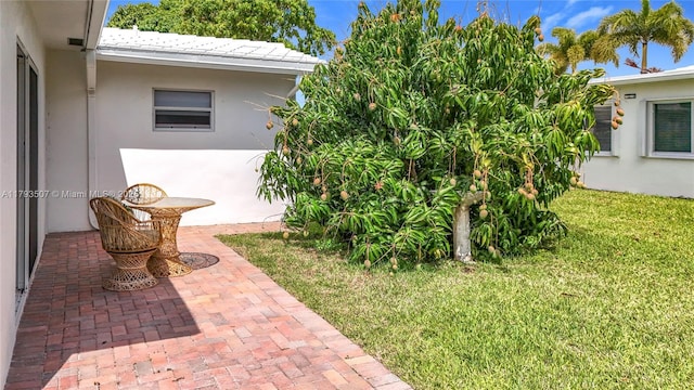 view of yard with a patio area