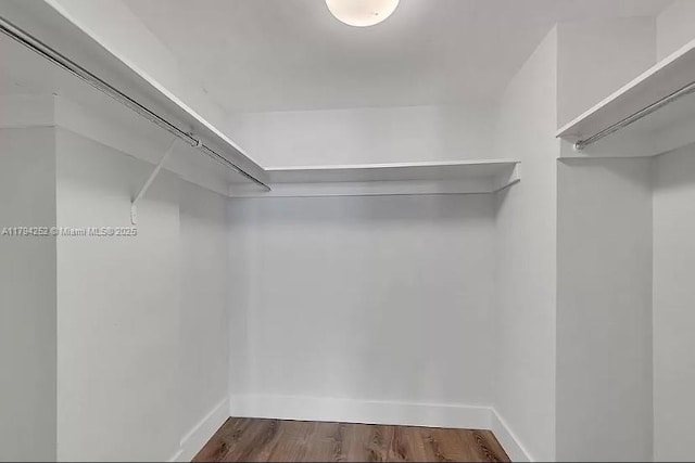 5401 Collins Ave Unit 411, Miami Beach, FL 33140 - spacious closet featuring dark wood-type flooring