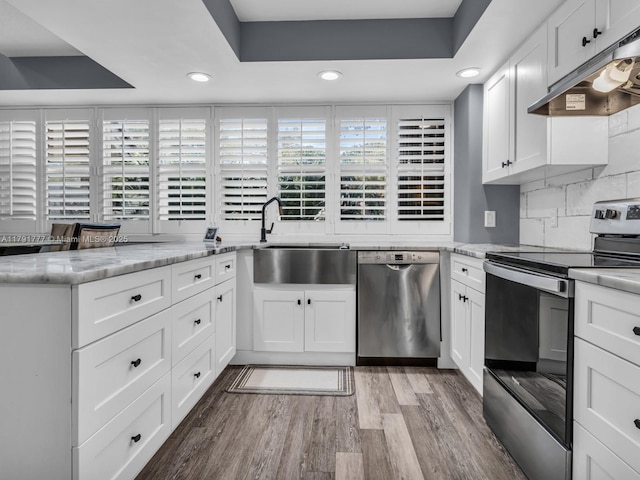kitchen with a sink, stainless steel appliances, recessed lighting, wood finished floors, and under cabinet range hood