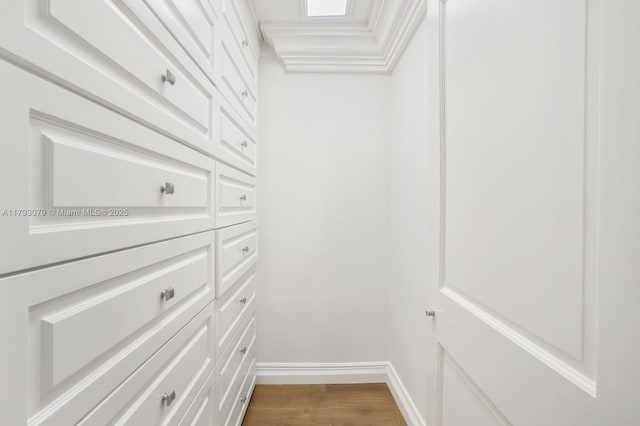 walk in closet with dark wood-style flooring