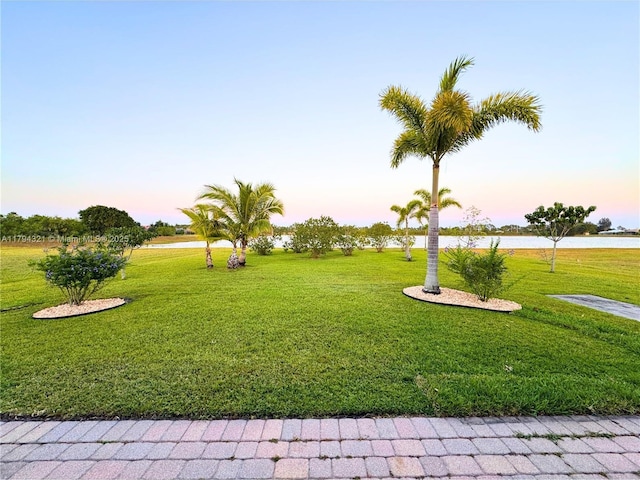 view of community featuring a lawn and a water view