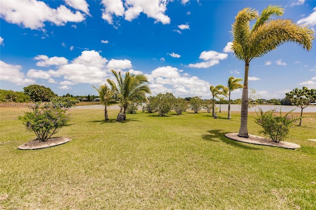 2041 SW Imperial St, Port St Lucie, FL 34987 - view of grassy yard