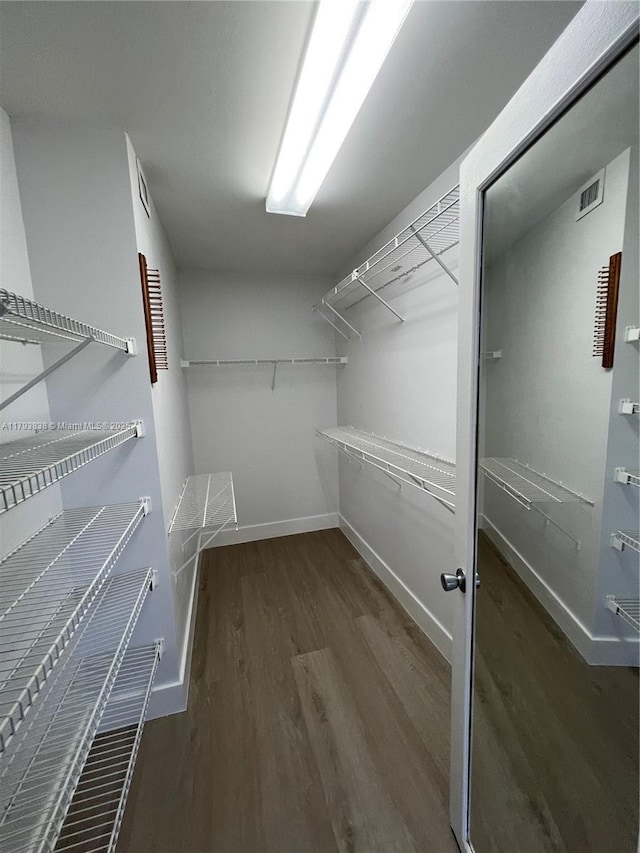 spacious closet with wood finished floors and visible vents