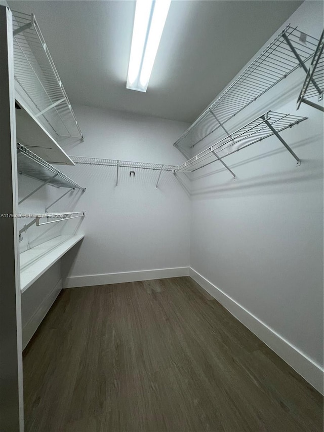 walk in closet featuring dark wood-style floors