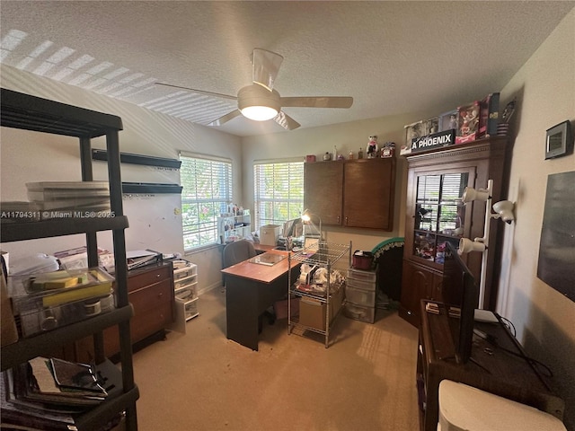 4123 W Lake Estates Dr, Davie, FL 33328 - office space with carpet, ceiling fan, a textured ceiling, and plenty of natural light