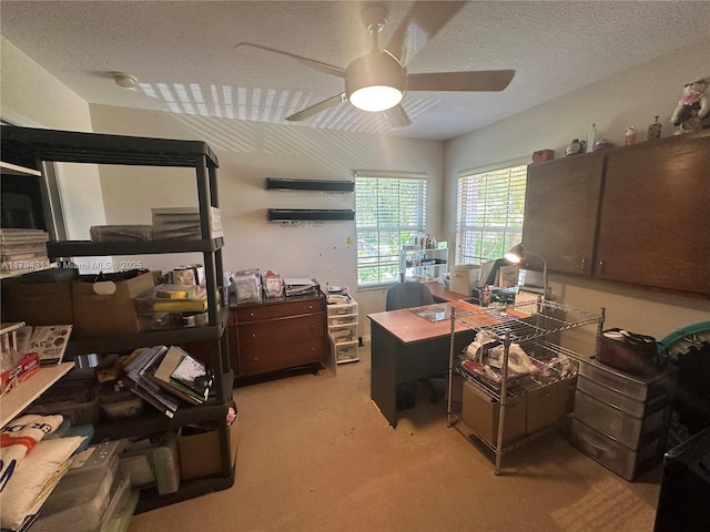 4123 W Lake Estates Dr, Davie, FL 33328 - home office featuring ceiling fan, light colored carpet, and a textured ceiling