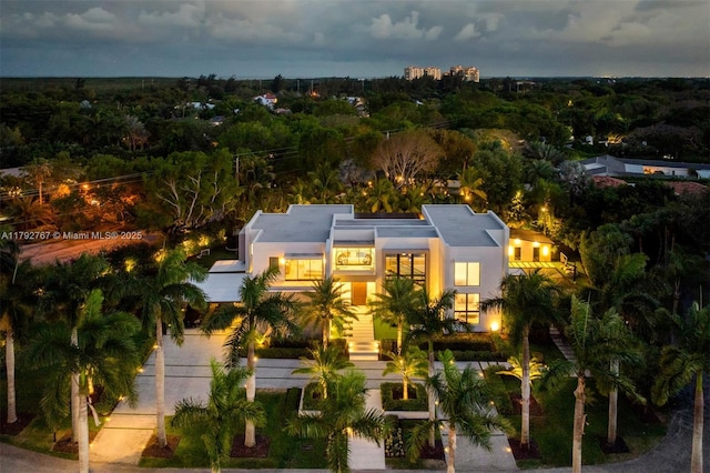 aerial view